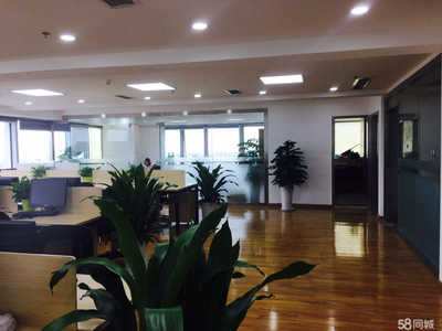 成都信城錦蓉 以專業商務咨詢助力企業精準決策